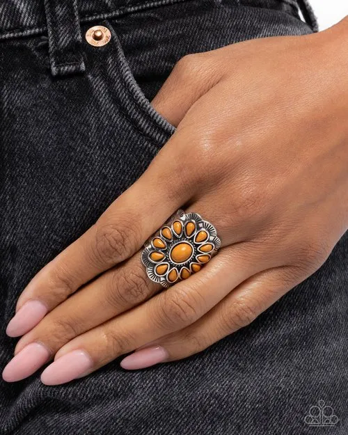Authentic Allegiance Brown Stone Silver Ring Paparazzi Paparazzi Accessories Rings