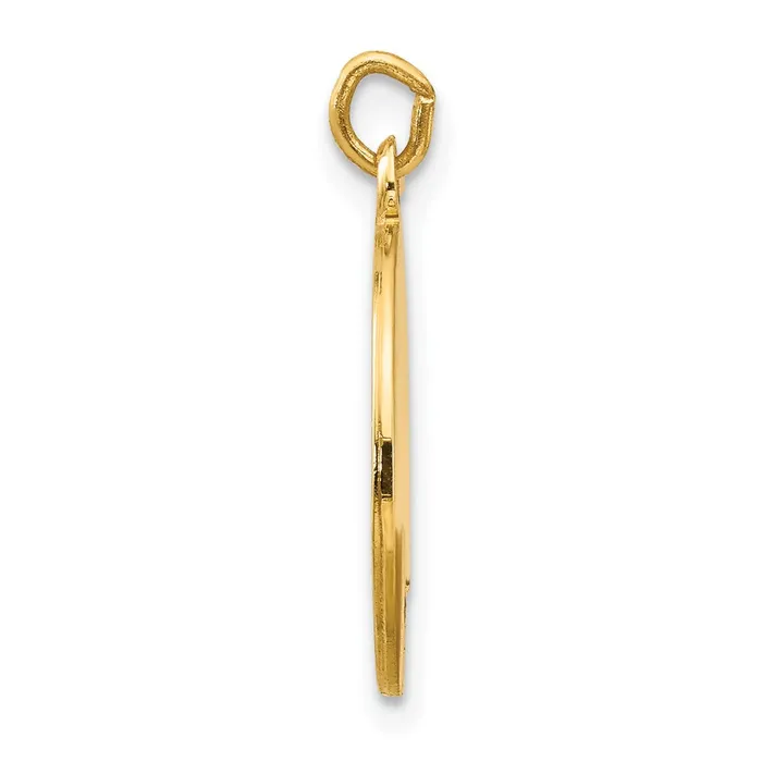 Charm Necklaces 14k Yellow Gold 15 mm Saint Luke Medal Charm 119 grams Qgold