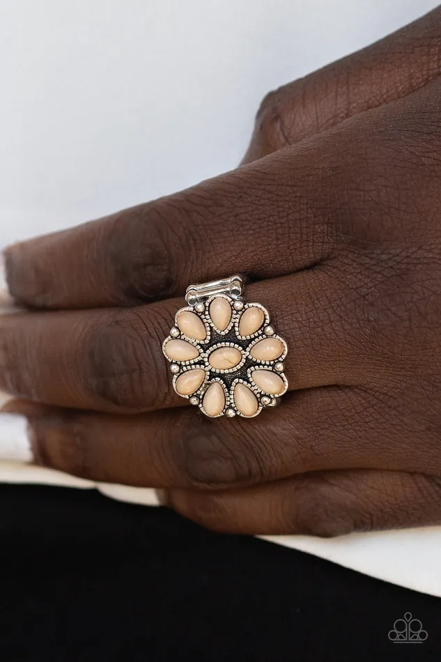 Paparazzi Accessories Stone Gardenia Paparazzi Brown Cracked Stone Silver Flower Frame Ring Rings
